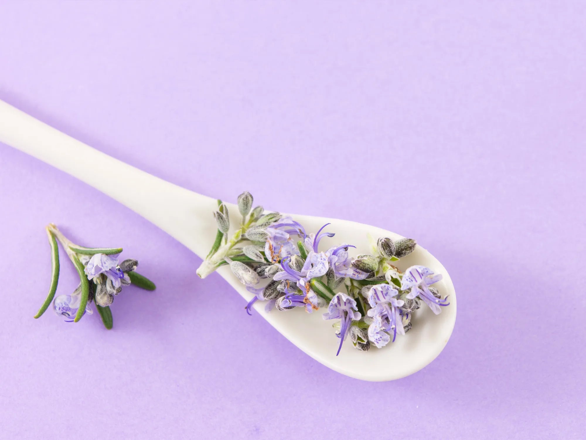 lavender_ingredient.webp